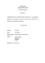Anguilla_Appointment-of-First-Director Page: 1