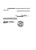 New-York_Instrument-of-Organization-by-Incorporator Page 2 Shot