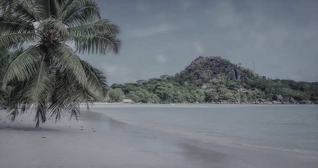 Сreation of substance in Seychelles.