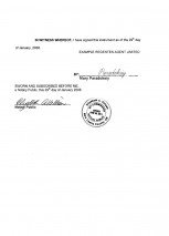 New York_Instrument of Organization by Incorporator.pdf Page: 2