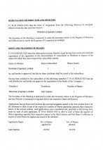 Cayman Island_Minutes of the first meeting of the directors.pdf Page: 2