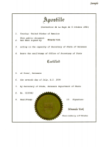 USA_Apostilled-Certificate-of-Incorporation Page 1 Shot