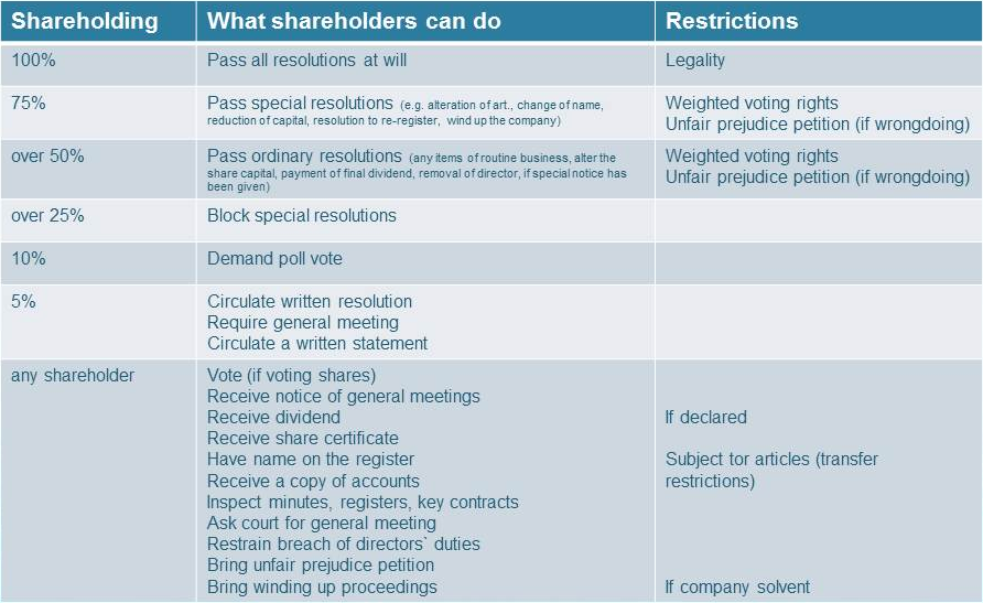 shareholders power