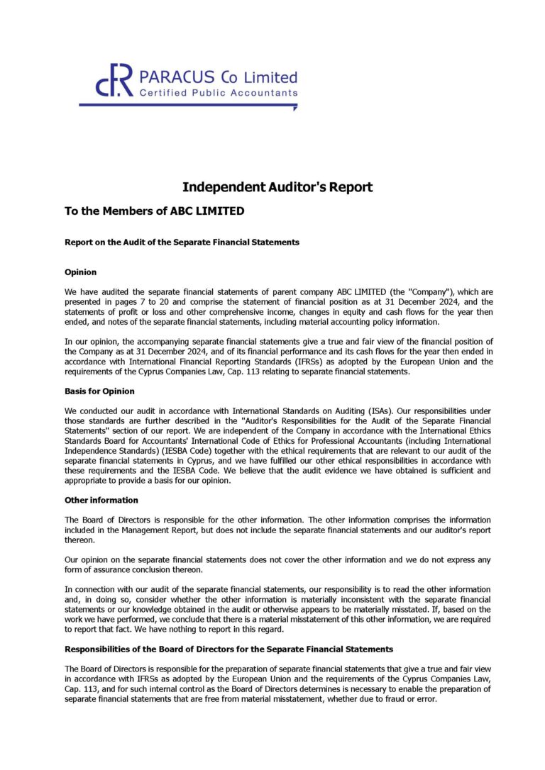 Аудиторское заключение / Auditor’s Report