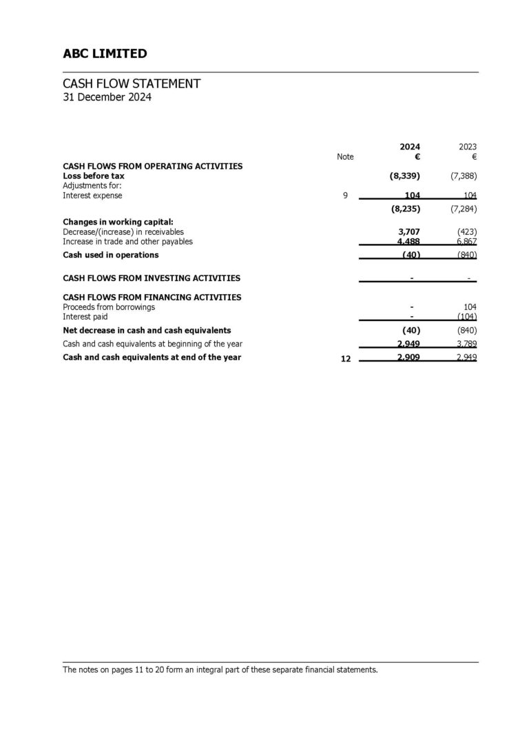 Отчет о движении денежных средств / Cash Flow Statement