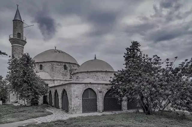 Payment Institution (PI) на Кипре.