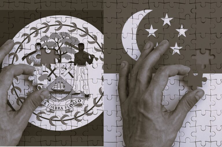 Редомицилирование компании из Белиза в Сингапур. Процедура смены юрисдикции.