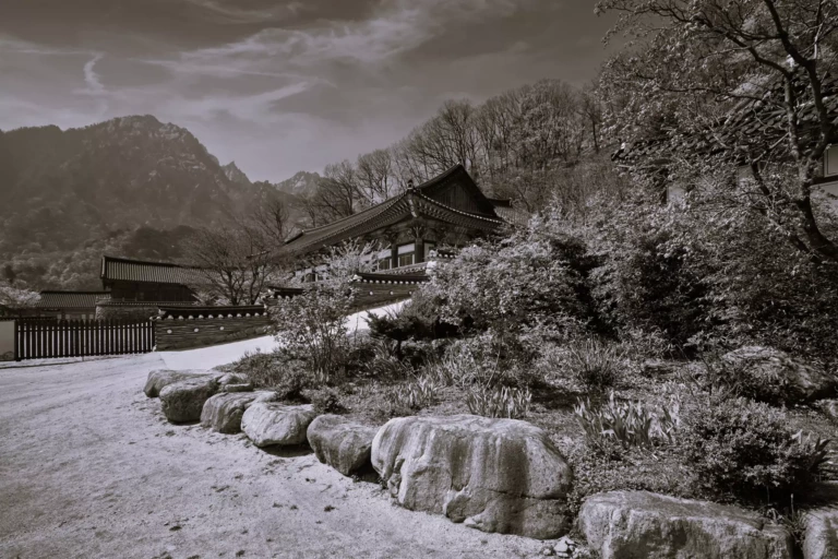 Регистрация дочерней компании в Южной Корее.