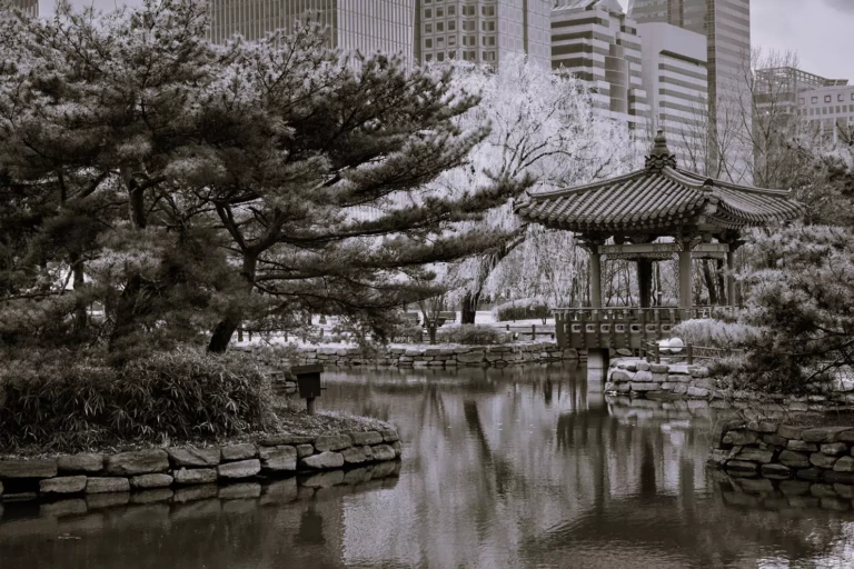 Открытие филиала иностранной компании в Южной Корее.