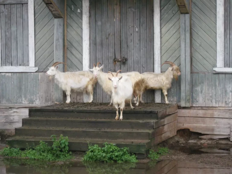 Слайд 96