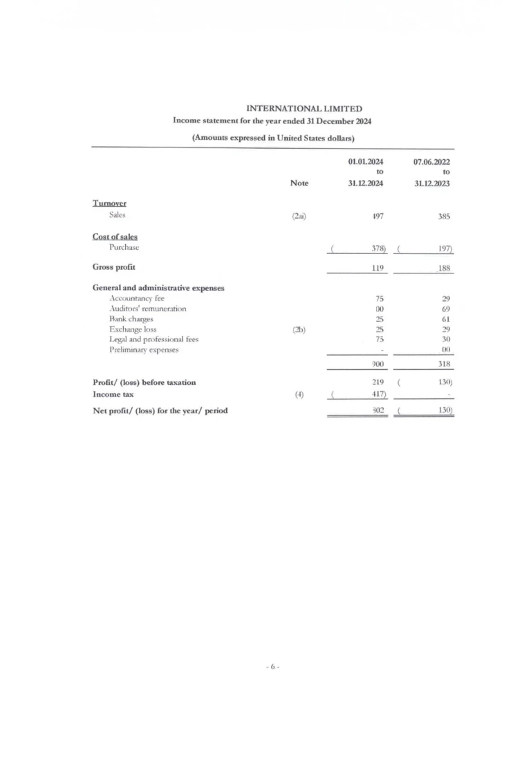 Отчет о прибылях и убытках / Income Statement