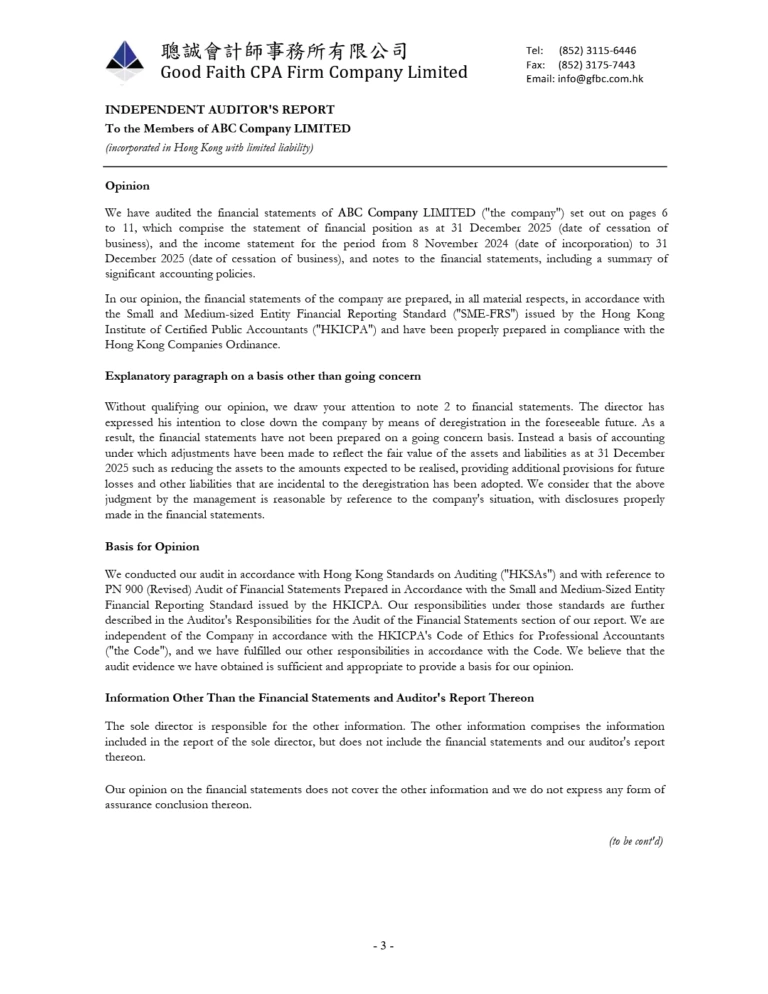 Аудиторское заключение / Auditor's Report