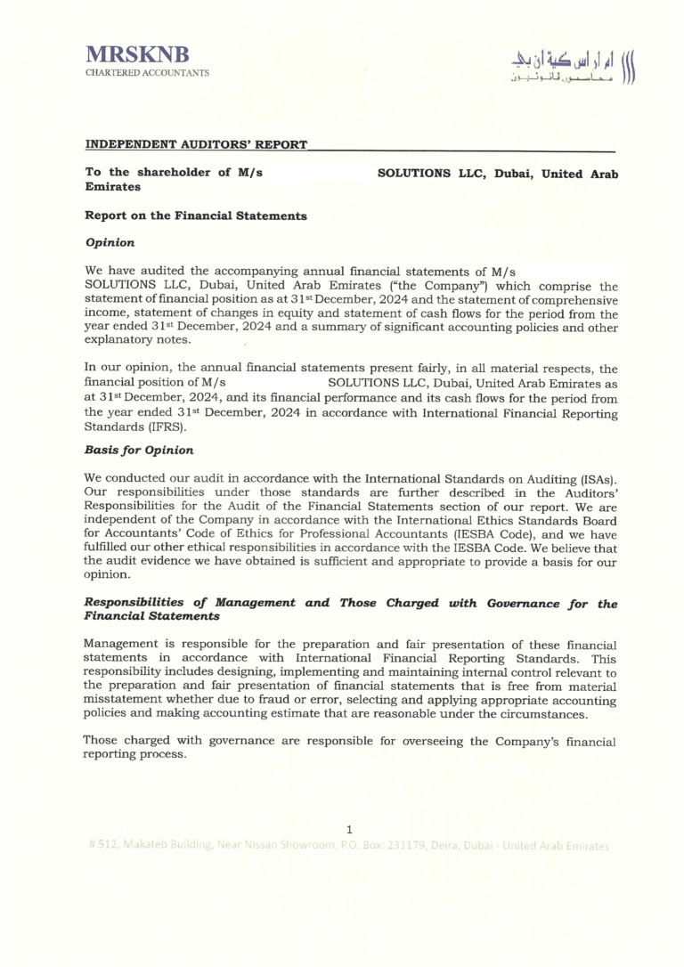 Аудиторское заключение (Independent Auditor's Report)