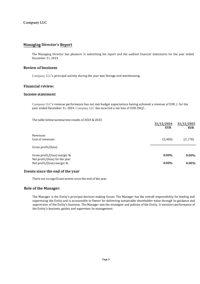 Отчет управляющего директора (Managing Director's Report)