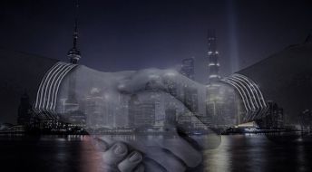 Компания в Китае, Свободной Торговой Зоне Шанхая: Wholly Foreign Owned Enterprise